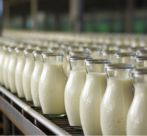 Dairy